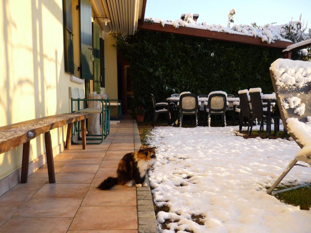 Sant'Andrea Agriturismo Con Cantina Martignago Vignaioli Asolo Prosecco Docg Wines มาเซร์ ภายนอก รูปภาพ