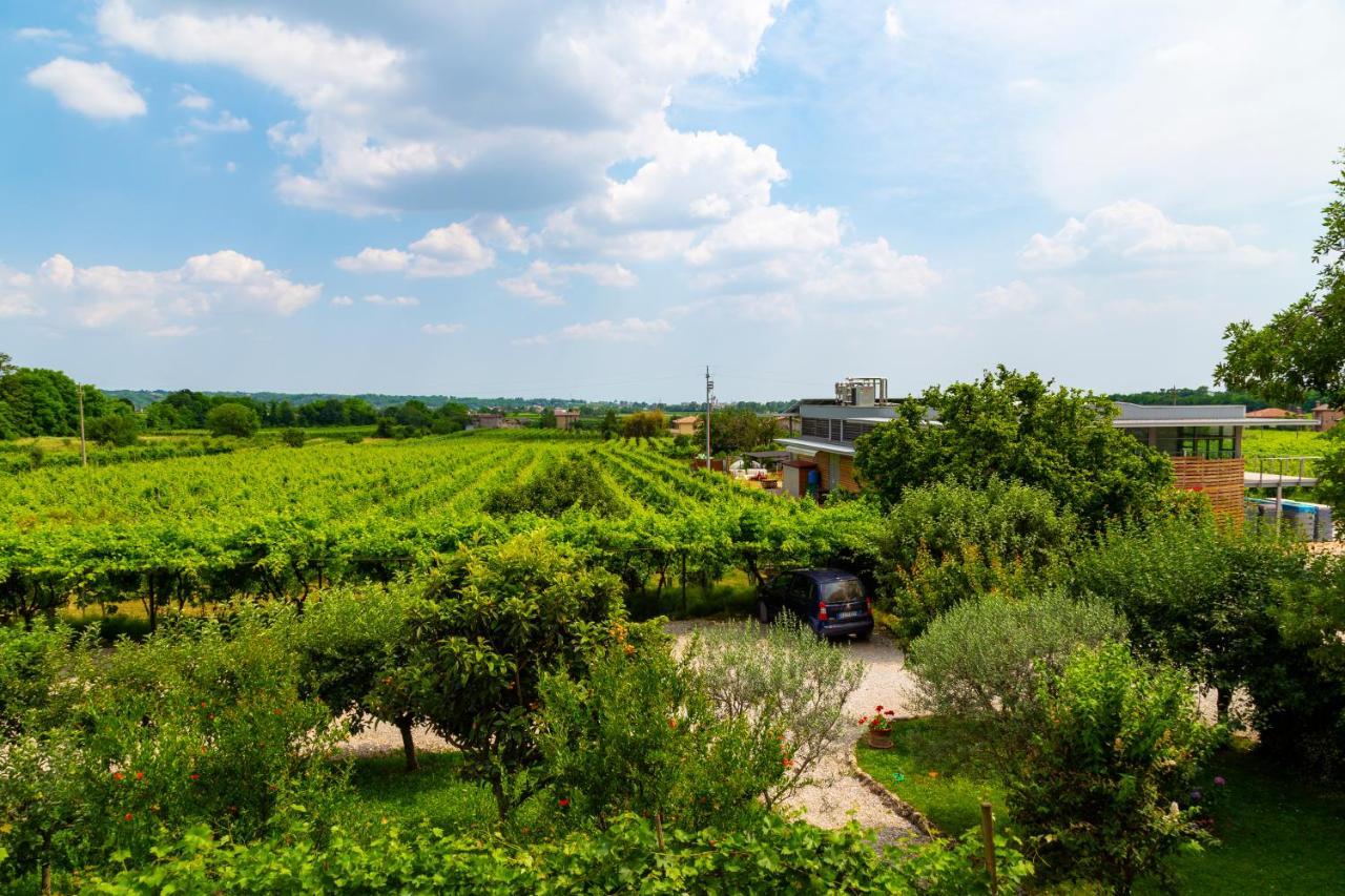 Sant'Andrea Agriturismo Con Cantina Martignago Vignaioli Asolo Prosecco Docg Wines มาเซร์ ภายนอก รูปภาพ