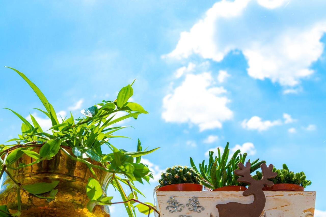 Sant'Andrea Agriturismo Con Cantina Martignago Vignaioli Asolo Prosecco Docg Wines มาเซร์ ภายนอก รูปภาพ